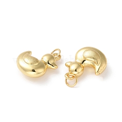 Rack Plating Brass Pendants&nbsp;KK-D074-28G