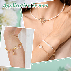 5Pcs 304 Stainless Steel Spring Gate Clasp Findings&nbsp;STAS-HY0002-14G