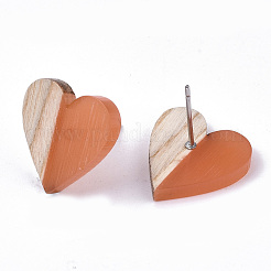 Transparent Resin & Wood Stud Earrings&nbsp;EJEW-N017-002A-D04