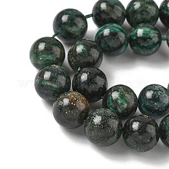 Natural Fuchsite Beads Strands&nbsp;G-G271-B03-10mm