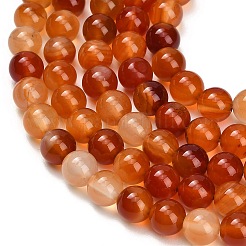 Natural Carnelian Beads Strands&nbsp;GG-CBA1CAF-A01-8mm