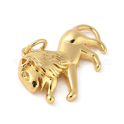 Brass Pendants&nbsp;KK-L245-03G-03