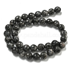 Natural Larvikite Beads Strands&nbsp;G-E571-A09-03
