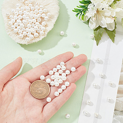 Glass Pearl Beads Strands&nbsp;SHEL-WH0001-009A-1