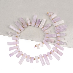 Natural Amethyst Beads Strands&nbsp;G-F829-A07-01