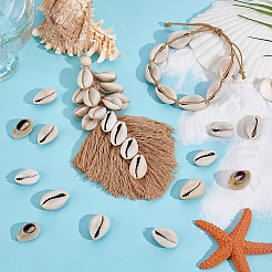 43Pcs Natural Cowrie Shell Beads&nbsp;SSHEL-PH0001-47