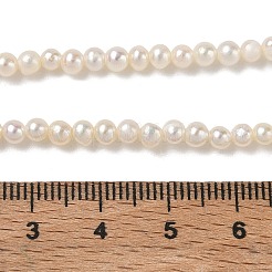 Natural Cultured Freshwater Pearl Beads Strands&nbsp;PA-CBAC463-34