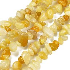 Natural Topaz Jade Chip Beads Strands&nbsp;G-M205-16A