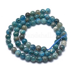 Natural Apatite Beads Strands&nbsp;G-I254-08B