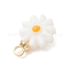 4Pcs 4 Styles Natural Freshwater Shell Enamel Flower Charms with Brass Bails&nbsp;PALLOY-JF04895