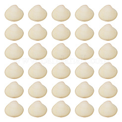Natural Shell&nbsp;FIND-TAC0026-10B
