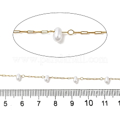 Handmade 304 Stainless Steel Beaded Chains&nbsp;CHS-L031-07G-03