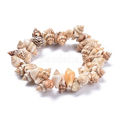 Unisex Natural Spiral Shell Stretch Bracelets&nbsp;BJEW-K220-01