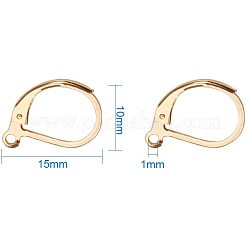 304 Stainless Steel Leverback Earring Findings&nbsp;STAS-PH0018-28G