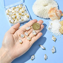 65Pcs 13 Styles ABS Plastic Imitation Pearl Connector Charms&nbsp;PALLOY-CJ00168