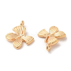 Brass Pendants&nbsp;KK-G468-22G