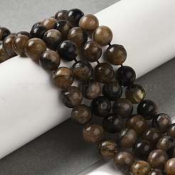 Natural Chiastolite Beads Strands&nbsp;G-Q161-A03-03