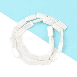Electroplated Shell Pearl Beads Strands&nbsp;BSHE-C007-C01-01