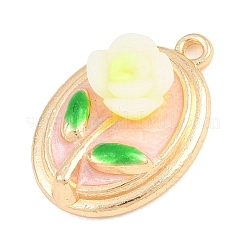 Alloy Enamel Pendants&nbsp;AL-CBAD5CF-02G-C