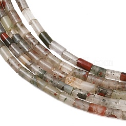 Natural African Bloodstone Beads Strands&nbsp;GG-CBAED3F-A10