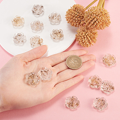 Translucent Resin Cabochons&nbsp;RESI-CJ0004-05B