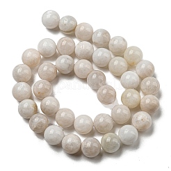 Natural Rainbow Moonstone Beads Strands&nbsp;LS-G-N328-024-10mm-AB