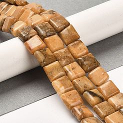 Natural Dolomite Beads Strands&nbsp;G-F765-C02-01