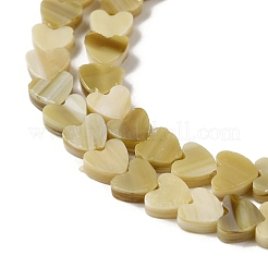 Handmade Lampwork Beads Strands&nbsp;LAMP-Q035-01M