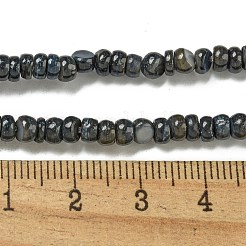 Dyed Natural Freshwater Shell Beads Strands&nbsp;BSHE-G039-07M