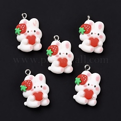 Resin Pendants&nbsp;RESI-M026-11