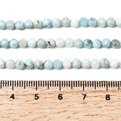 Natural Larimar Beads Strands&nbsp;G-F785-B01-02