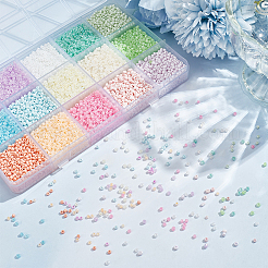 15 Stytles 12000 Pcs Glass Seed Beads&nbsp;SEED-HY0001-17C