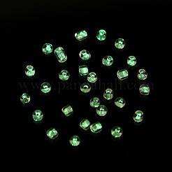 Glow in the Dark Luminous Transparent 8/0 Glass Seed Beads&nbsp;SEED-YWC0001-01H