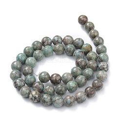Natural Maifanite/Maifan Stone Beads Strands&nbsp;G-P451-01A-D