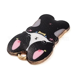 Rack Plating Alloy Enamel Pendants&nbsp;FIND-Q099-10G-04