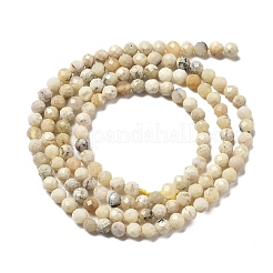 Natural Yellow Opal Beads Strands&nbsp;G-B145-A03-3mm