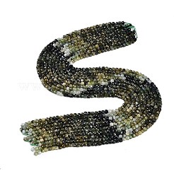 Natural Green Tourmaline Beads Strands&nbsp;G-P553-E04-03