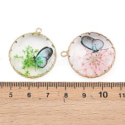 Brass Glass Pendants&nbsp;FIND-G101-06G