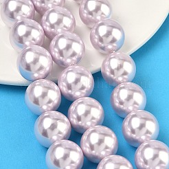 Electroplated Shell Pearl Beads Strands&nbsp;BSHE-G041-16mm-06