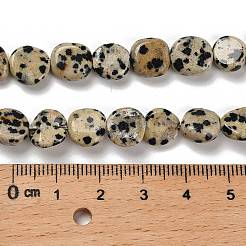 Natural Dalmatian Jasper Beads Strands&nbsp;G-P497-01E-80