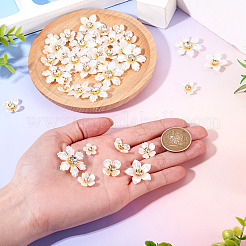 50Pcs 5 Styles Acrylic Cabochons&nbsp;MACR-TA0002-90