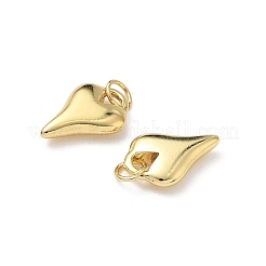 Brass Pendants&nbsp;KK-L243-09G