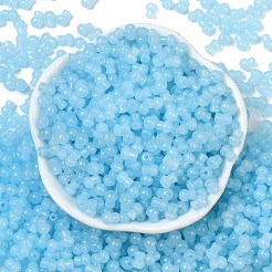 Transparent Colours Glass Seed Beads&nbsp;SEED-R001-01P