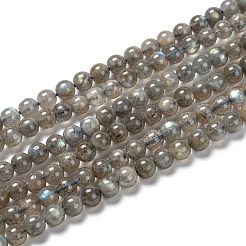 Natural Labradorite Beaded Bracelers&nbsp;BJEW-B050-01