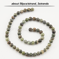 2 Strands Natural Green Zebra Jasper Beads Strands&nbsp;G-OC0002-74