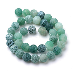 Natural & Dyed Crackle Agate Bead Strands&nbsp;G-T056-8mm-06