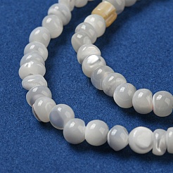 Natural Trochus Shell Beads Strands&nbsp;SSHEL-H072-13B
