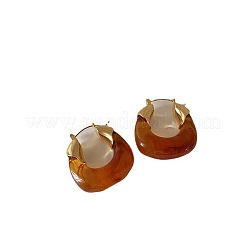 Retro Alloy Resin U-Shaped Hoop Earrings&nbsp;FS-WG1DDE7-02
