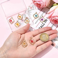10Pcs 5 Colors Zinc Alloy Epoxy Resin Pendants&nbsp;FIND-CJ0004-93