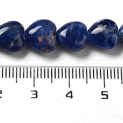 Natural Sodalite Beads Strands&nbsp;G-P528-C09-01